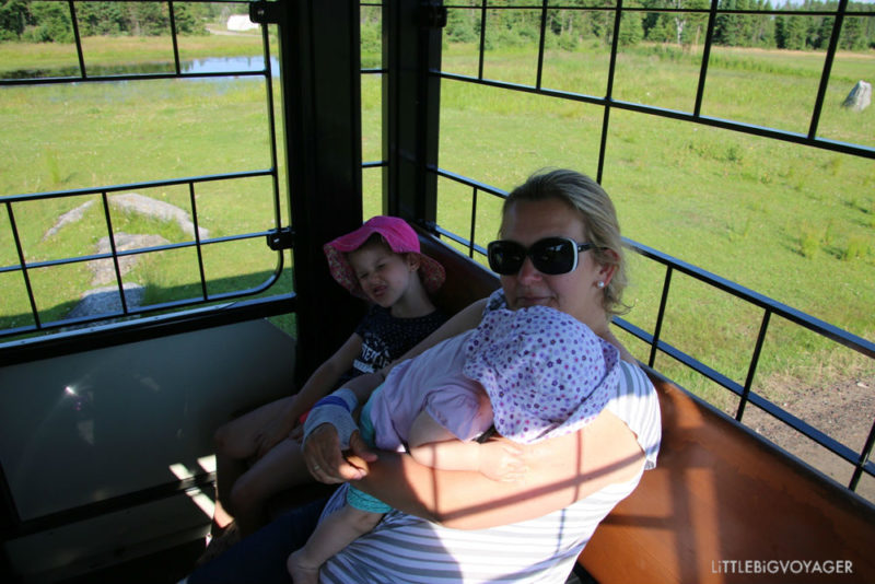 wir im Zoo Sauvage