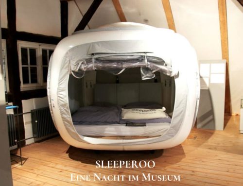 Sleeperoo – Eine Nacht im Museum