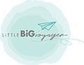 littlebigvoyager.de Logo
