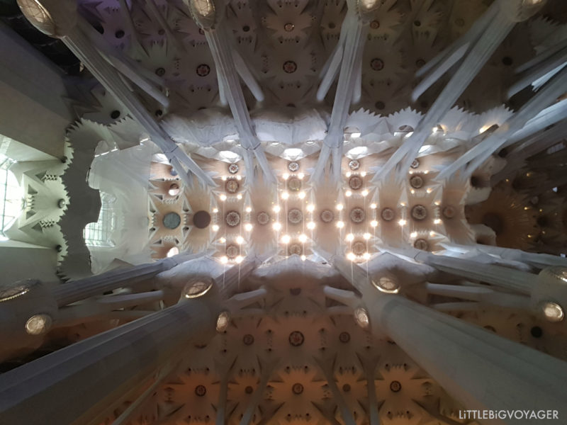 Deckenansicht vom Hauptschiff der Sagrada Familia