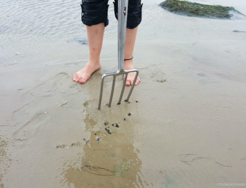 Nordstrand – Wattwanderung mit Kindern